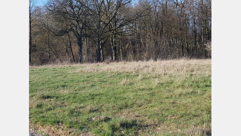 Działka Sprzedaż Kościno