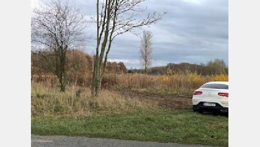 Działka Sprzedaż Stara Dąbrowa