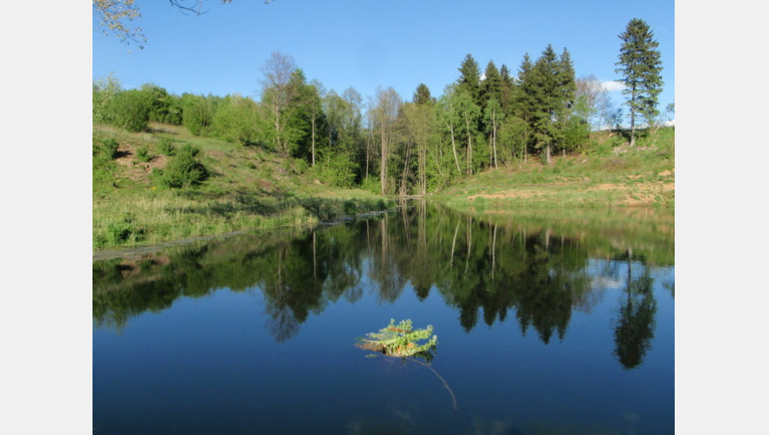 Działka Sprzedaż Bobolice