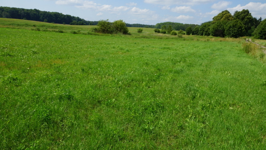 Działka Sprzedaż Bobolice