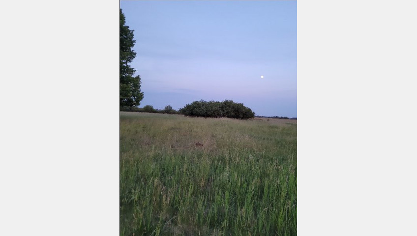 Działka Sprzedaż Lubczyna