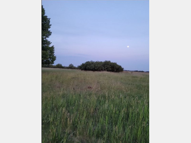 Działka Sprzedaż Lubczyna