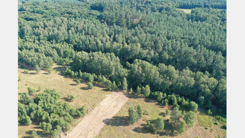 Działka Sprzedaż Krzywice