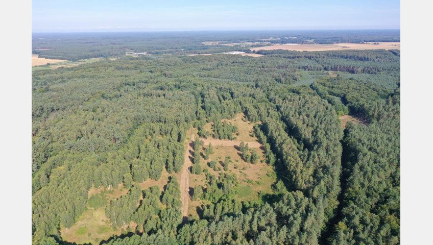 Działka Sprzedaż Krzywice