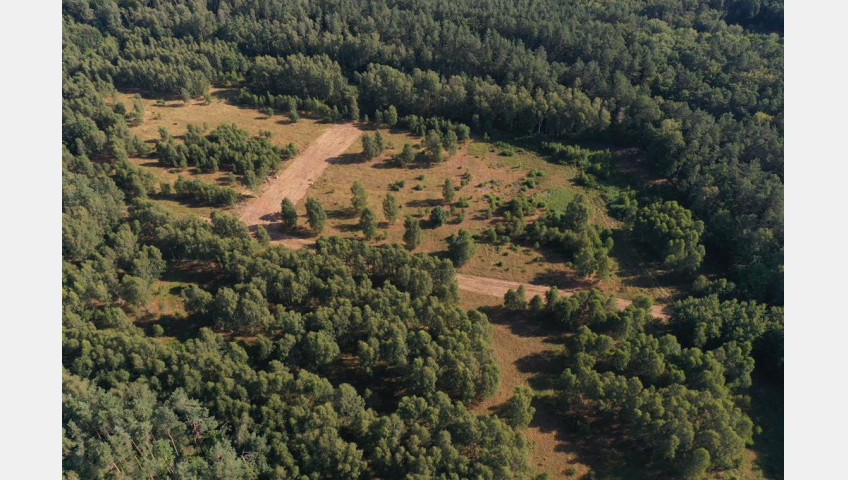 Działka Sprzedaż Krzywice