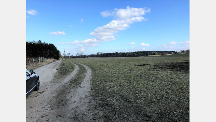 Działka Sprzedaż Sosnowice