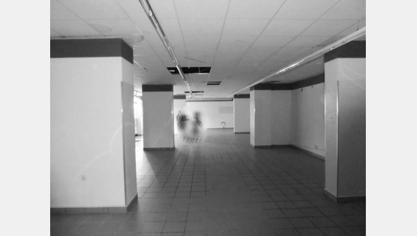Lokal Wynajem Szczecin Centrum