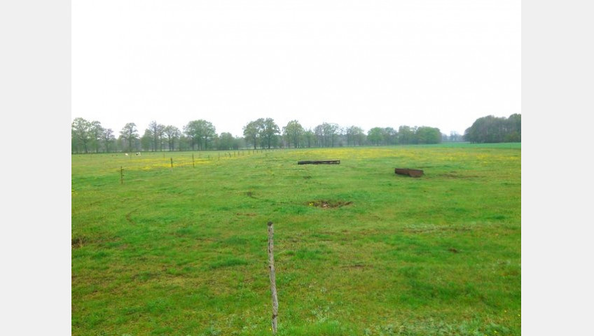Działka Sprzedaż Rzędziny