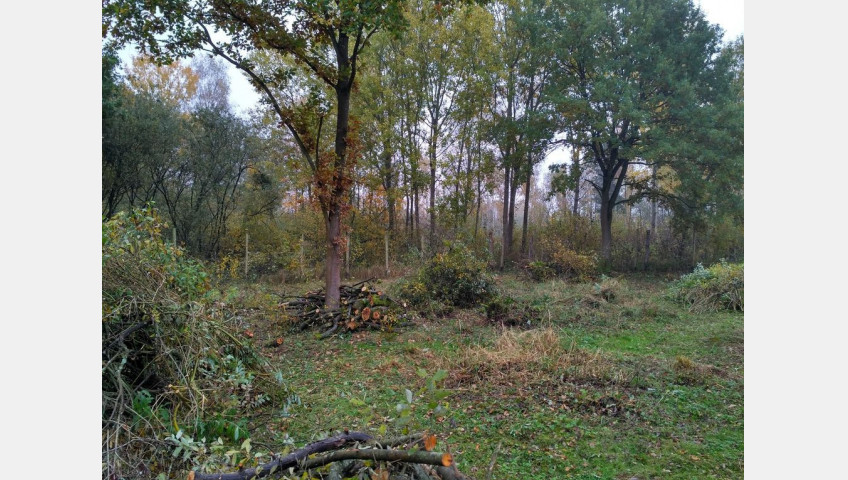 Działka Sprzedaż Grębowo