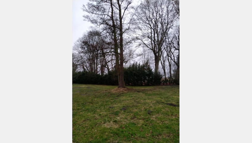Działka Sprzedaż Rzędziny