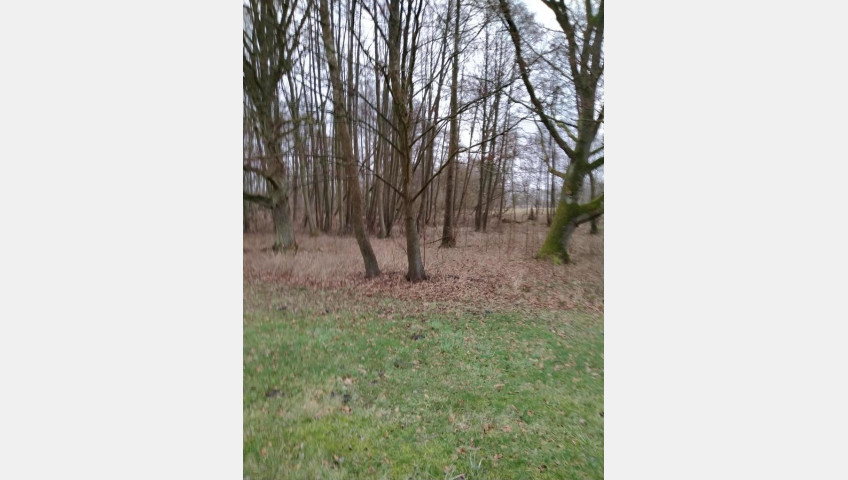 Działka Sprzedaż Rzędziny