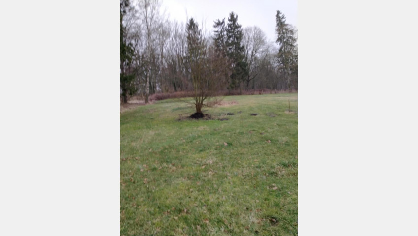 Działka Sprzedaż Rzędziny