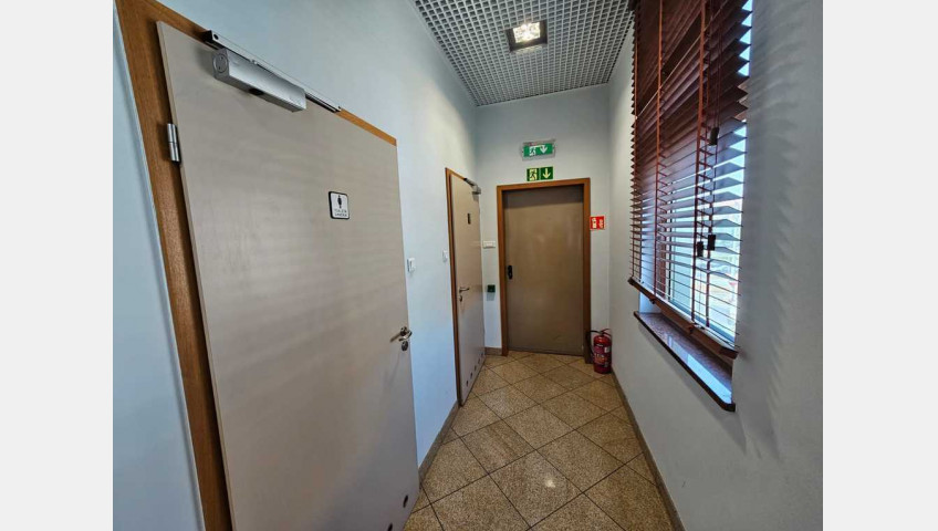 Lokal Wynajem Szczecin Centrum