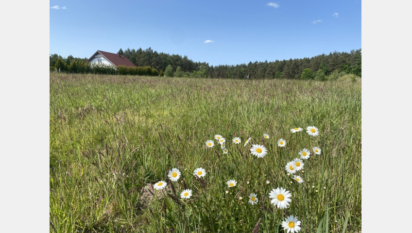 Działka Sprzedaż Przybiernów