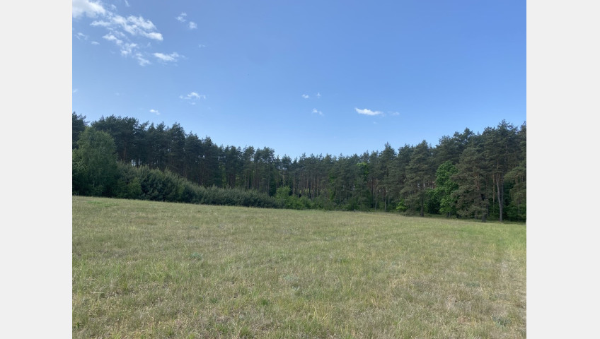 Działka Sprzedaż Przybiernów