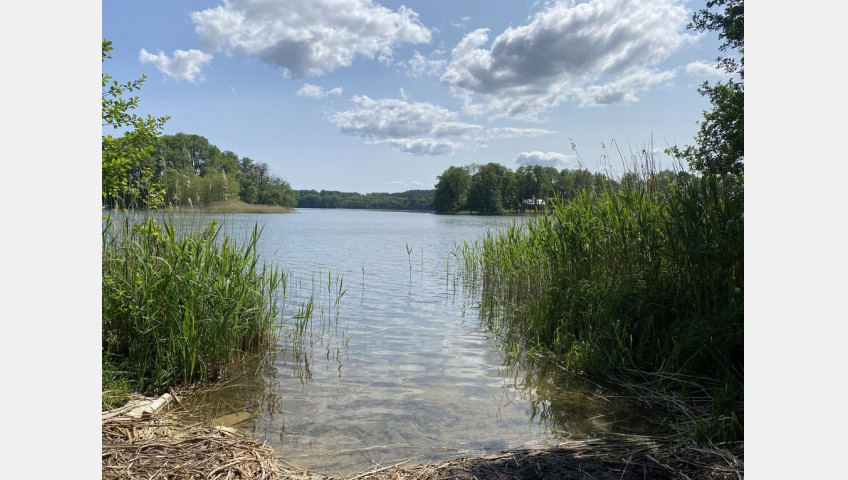 Działka Sprzedaż Przybiernów