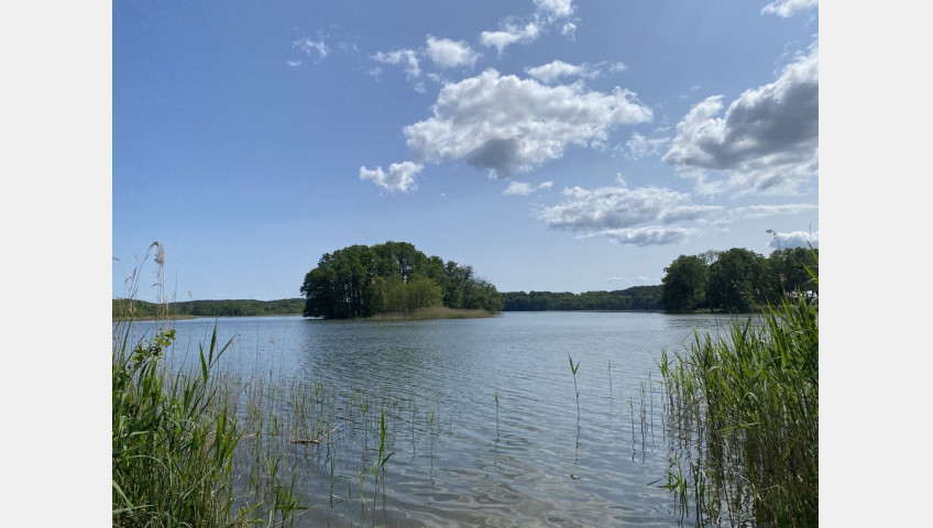 Działka Sprzedaż Przybiernów