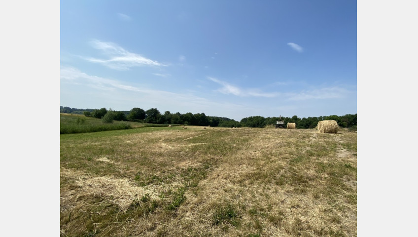 Działka Sprzedaż Glinna