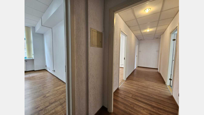 Lokal Wynajem Szczecin Centrum