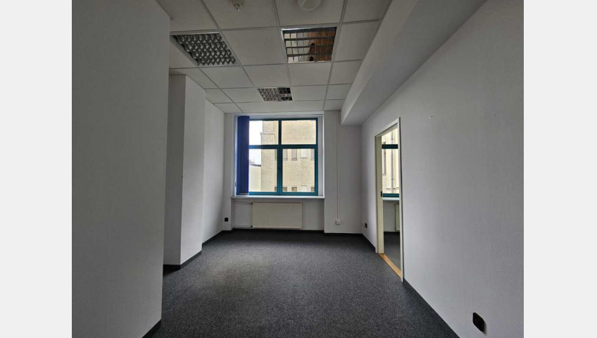 Lokal Wynajem Szczecin Centrum