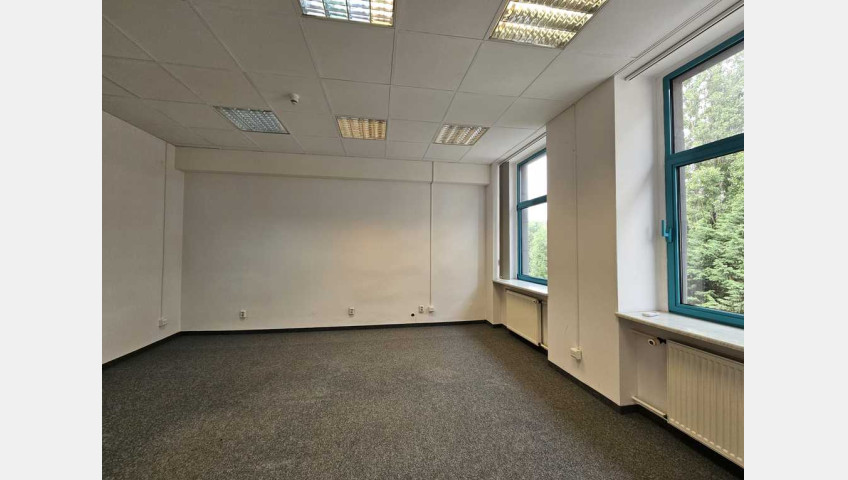 Lokal Wynajem Szczecin Centrum