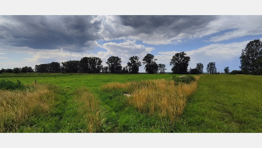 Działka Sprzedaż Rurzyca