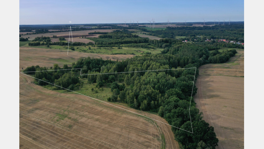 Działka Sprzedaż Prusinowo
