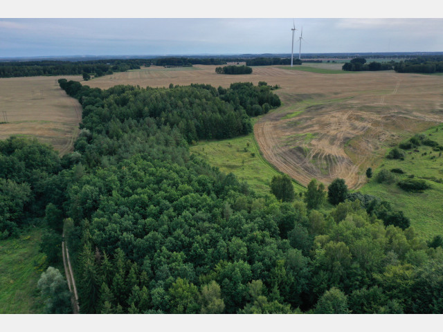 Działka Sprzedaż Prusinowo