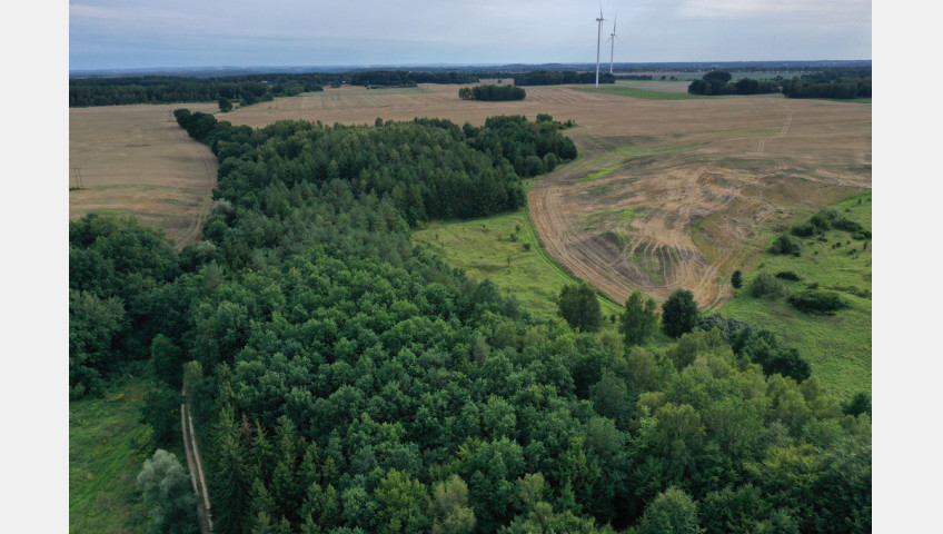 Działka Sprzedaż Prusinowo