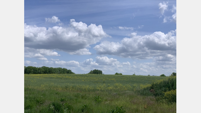 Działka Sprzedaż Stobno Pod Dębami