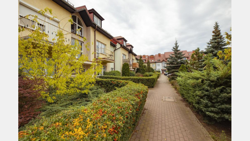 Mieszkanie Wynajem Szczecin Pogodno II Horeszków