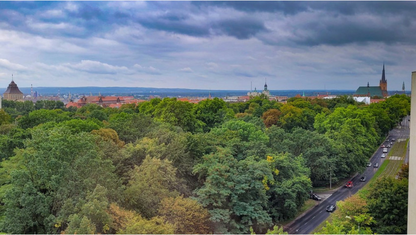Mieszkanie Sprzedaż Szczecin Centrum Jana Matejki