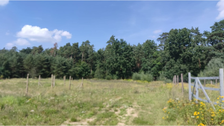 Działka Sprzedaż Kościno