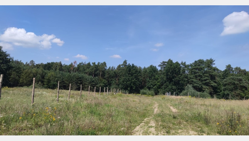 Działka Sprzedaż Kościno