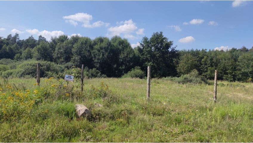 Działka Sprzedaż Kościno