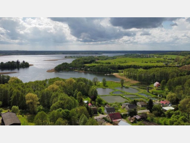 Działka Sprzedaż Lubieszewo