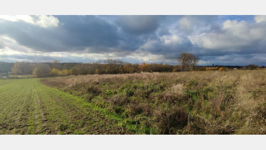 Działka Sprzedaż Goleniów