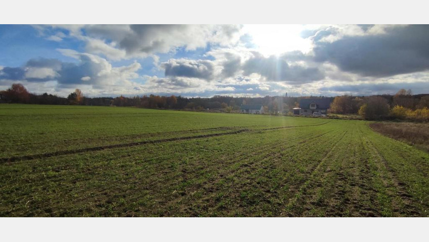 Działka Sprzedaż Goleniów
