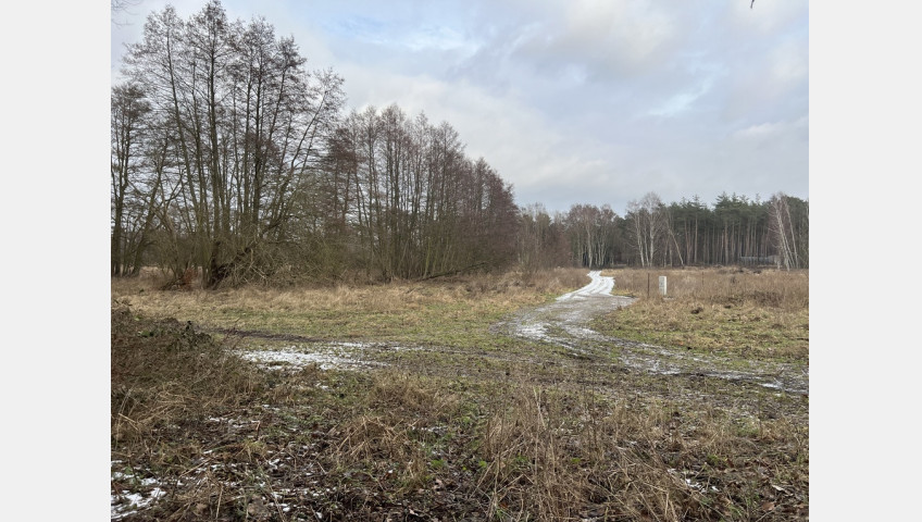 Działka Sprzedaż Brzózki