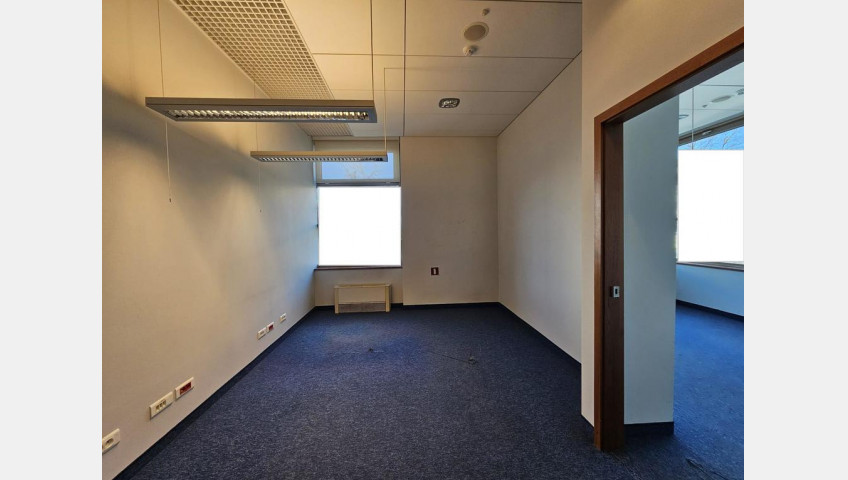 Lokal Wynajem Szczecin Centrum