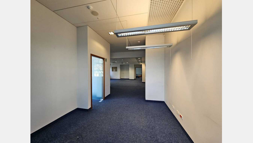Lokal Wynajem Szczecin Centrum