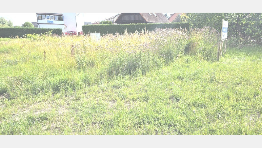 Działka Sprzedaż Niechorze