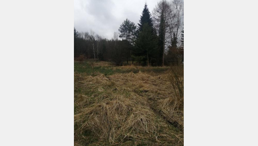 Działka Sprzedaż Stawno