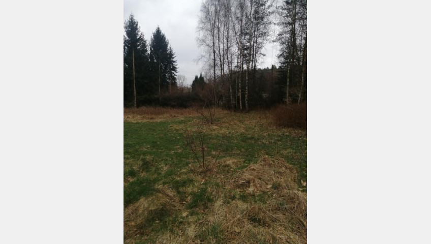 Działka Sprzedaż Stawno