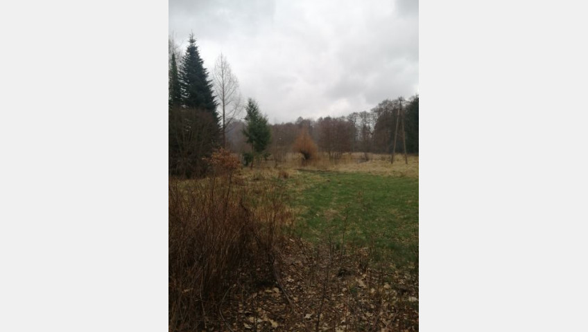 Działka Sprzedaż Stawno