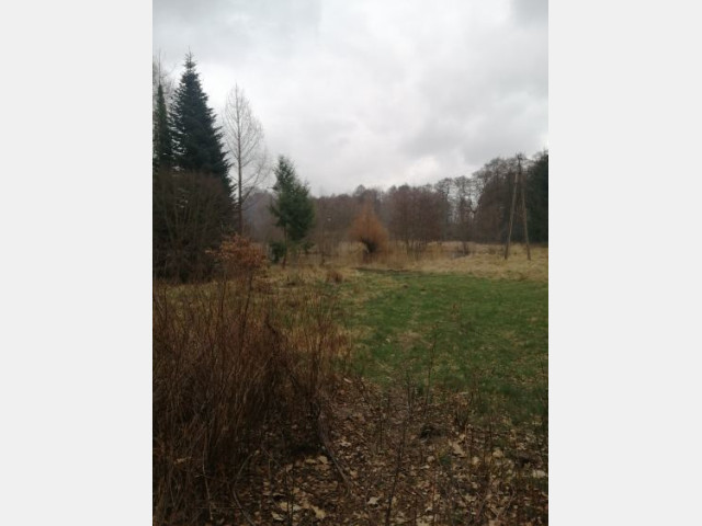 Działka Sprzedaż Stawno