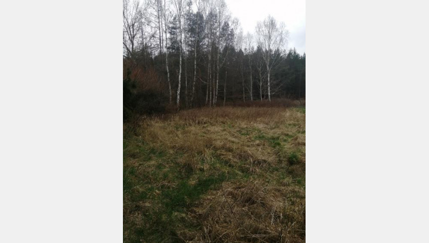 Działka Sprzedaż Stawno