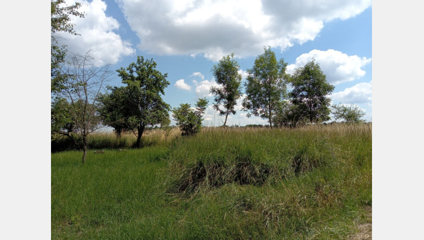 Działka Sprzedaż Dębina