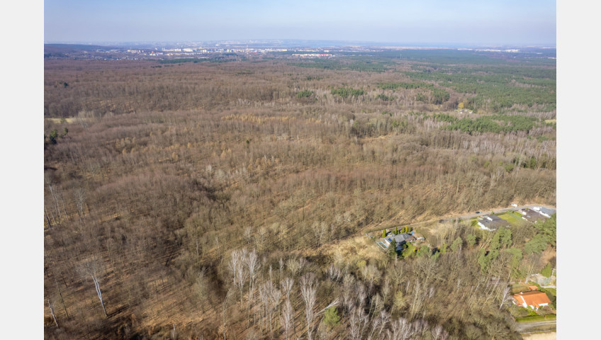 Działka Sprzedaż Szczecin Płonia