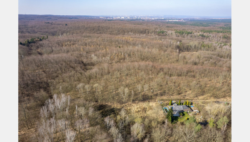 Działka Sprzedaż Szczecin Płonia